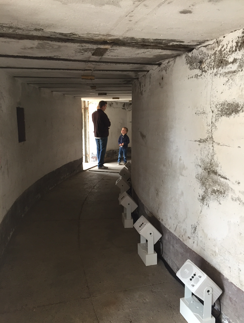 Vis.[un]necessary force_1*