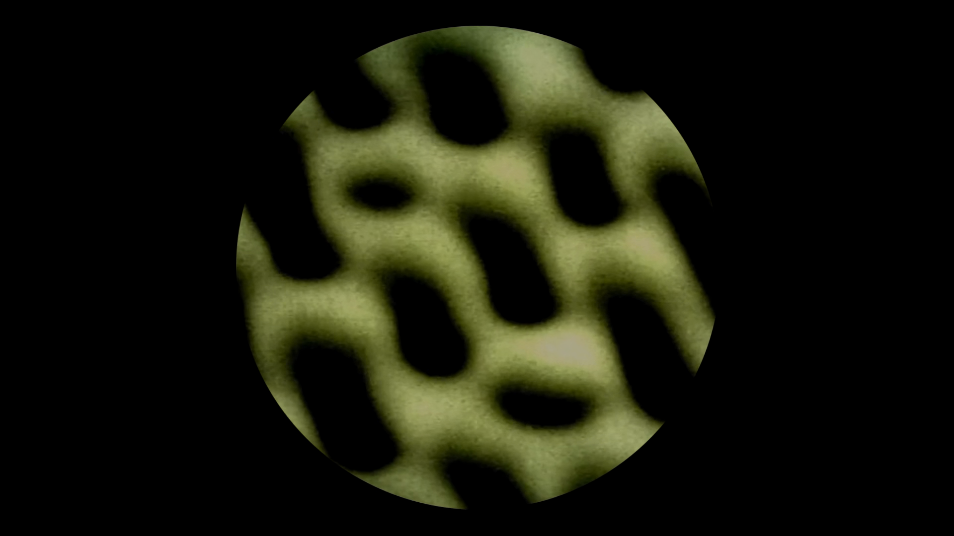 Biofeedback symphony – Solar Return